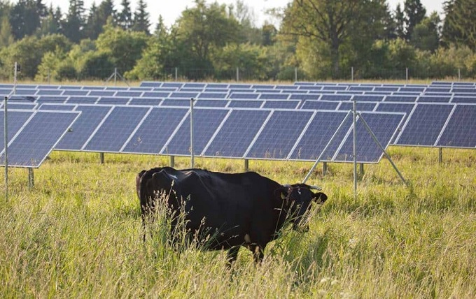 Energie in de Hoeksche Waard